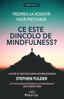 Ce este dincolo de Mindfulness?