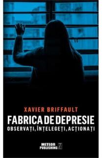 Fabrica de depresie