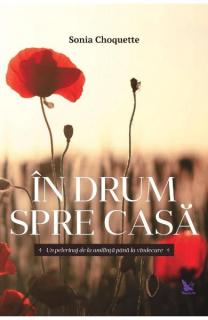 In drum spre casa