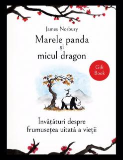 Marele panda si micul dragon