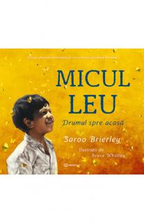MICUL LEU