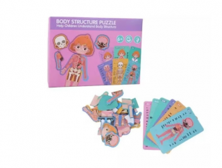 Puzzle din lemn, Anatomia Corpul uman fete