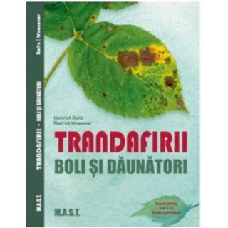 Trandafirii. Boli si daunatori