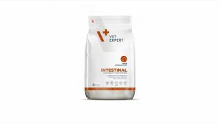 4T DIETA VETERINARA INTESTINAL DOG 2 KG