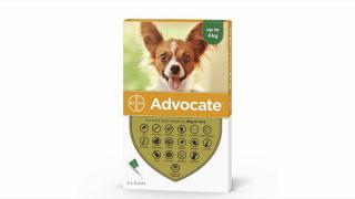 Advocate 40 Caine (0 - 4 kg), 3 pipete