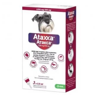 Ataxxa Dog 100 (10-25 kg), 1 pipeta