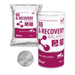 BB  RECOVERY BALANCE pentru caini si pisici, 100 G