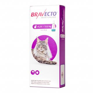 Bravecto Spot On Pisica  6.25 - 12.5 kg, 500 mg, 1 pipeta