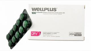 Comprimate antiparazitare caini - Wellplus - 10 comprimate