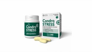 CondroSTRESS+ caine, 30 tablete