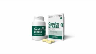 CondroSTRESS+ caine, 90 tablete