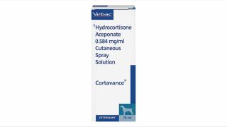 Cortavance Spray, 75 ml