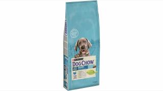 Dog Chow Puppy Large Breed cu Curcan 14 kg