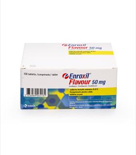 Enroxil Flavour 50 mg - 10 comprimate