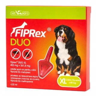 Fiprex Duo XL Dog  40 kg x 1 pipeta antiparazitare