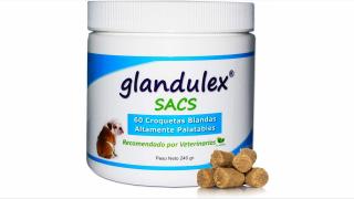 JT - GLANDULEX SACS 30 Tablete masticabile