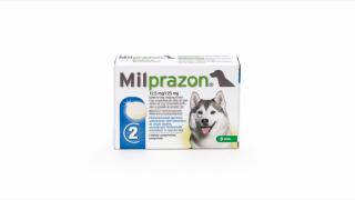 Milprazon Dog 12.5   125 mg (  5 kg), 1 tableta