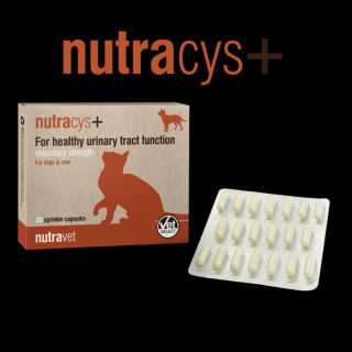 Nutravet  Nutracys+ (Nutraease) 20 cps - caini si pisici