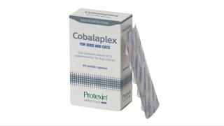 Protexin Cobalaplex pentru caini si pisici, 60 capsule