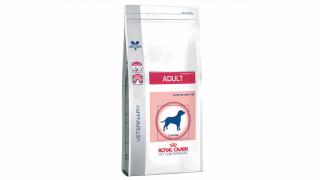 Royal Canin Adult Medium Dog, 10 kg