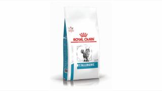 Royal Canin Anallergenic Cat, 2 kg