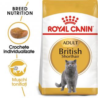 Royal Canin British Shorthair Adult, 10 kg