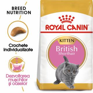 Royal Canin British Shorthair Kitten, 2 Kg