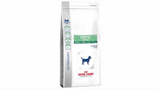 Royal Canin Dental Small Dog Dry 1.5 Kg