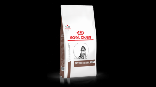 Royal Canin Gastrointestinal Junior Dog, 1 kg