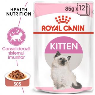 ROYAL CANIN Kitten Instinctive in Gravy Pouch, 1 x 85 g