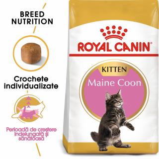 Royal Canin Maine Coon Kitten, 2 kg