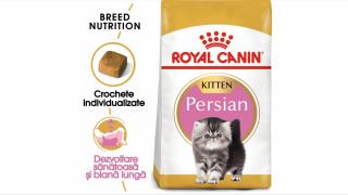 Royal Canin Persian Kitten hrana uscata pisica junior, 2 kg