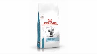 Royal Canin Skin  Coat Cat Dry, 1.5 kg