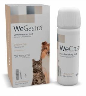 WeGastro, flacon cu seringa dozatoare x 60 ml solutie buvabila