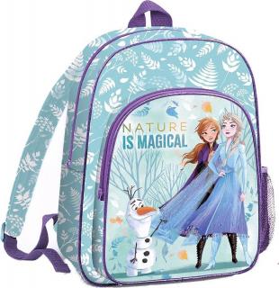 Ghiozdan 2 compartimente Frozen Disney Nature is Magical, 41 cm