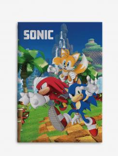Patura fleece, Sonic the Hedgehog Speedy Dreams, 100x140 cm