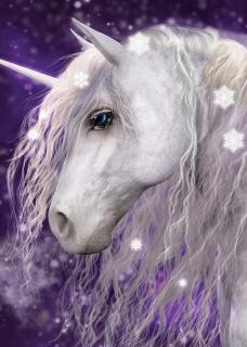 Patura fleece Unicorn 100x140 cm