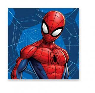 Prosop pentru maini bumbac Spiderman Web 30x30 cm