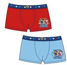 Set 2 perechi chiloti tip boxer Paw Patrol