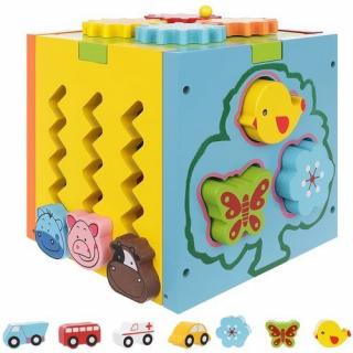 Set Joc Cub Educational Multifunctional 5-in-1,15x15x15 cm