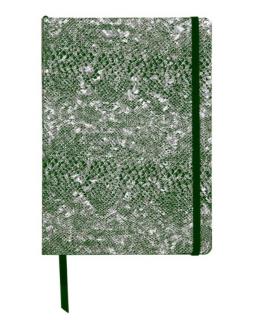 Notebook Hard cover piele, A5, 144 pagini, Green Laser Silver Celeste, Clairefontaine