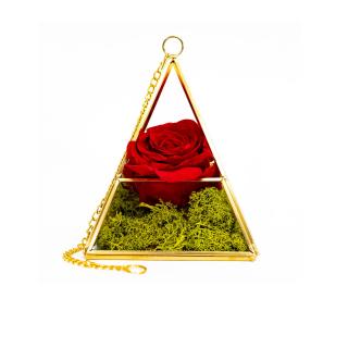 Aranjament Trandafir Criogenat Rosu In Piramida