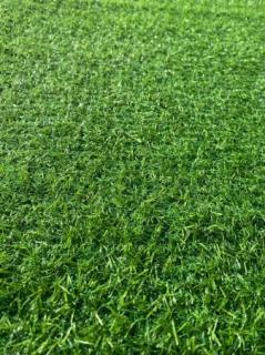 Covor Gazon Iarba Artificiala, LEISURE, Verde, 15 mm, Latime 2 m