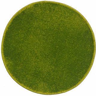 Covor Modern, Kolibri 11000-130, Verde, Rotund, Diverse Dimensiuni, 2200 gr mp