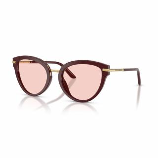 DolceGabbana 4492-3091P5