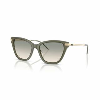 Emporio Armani 4251-62642C