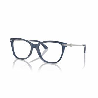 Jimmy Choo 3007HB-5035