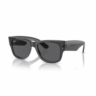 Ray-Ban 0840S-1406B1 New wayfarer