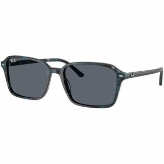 Ray-Ban 2231-1417R5 Raimond