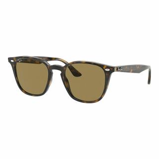 Ray-Ban 4258-710 73